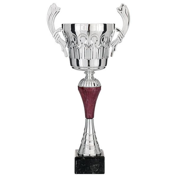 Silver cup with handles and red center