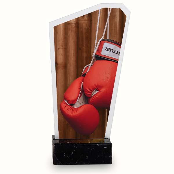 Trofeo boxeo prisma